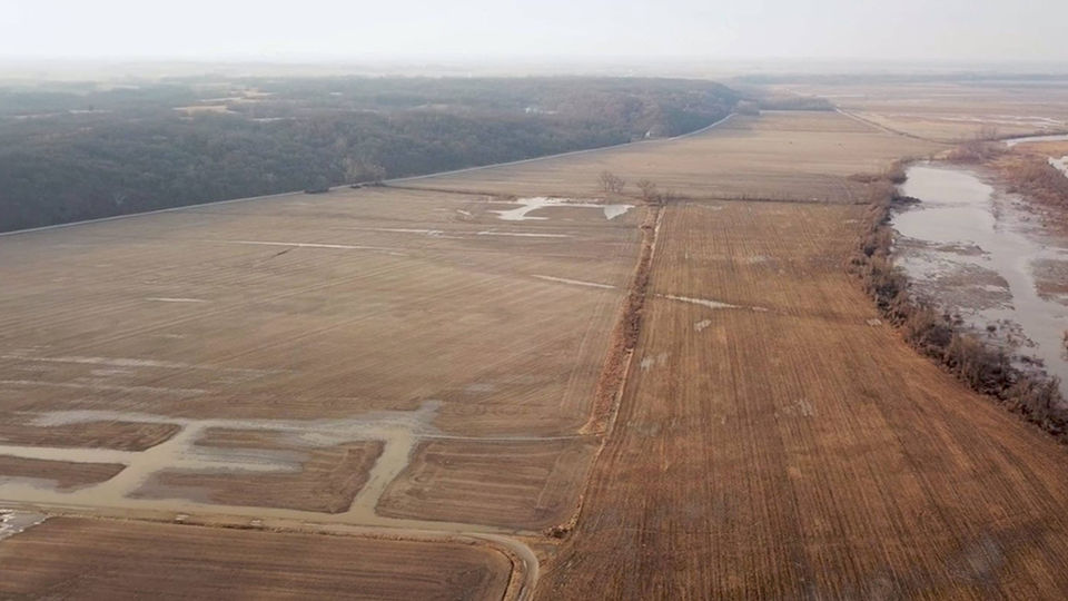 Habitat Flats: THE GRAND